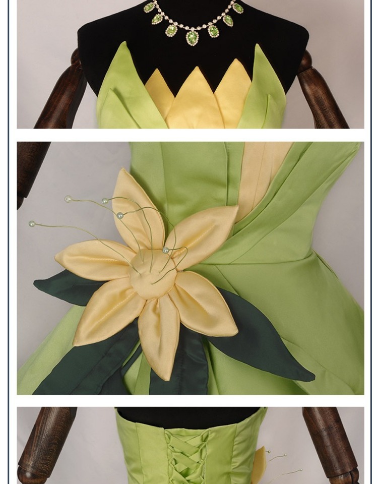 Princess Tiana Dress Cosplay C - огляд і ціна Women'S Accessories List
