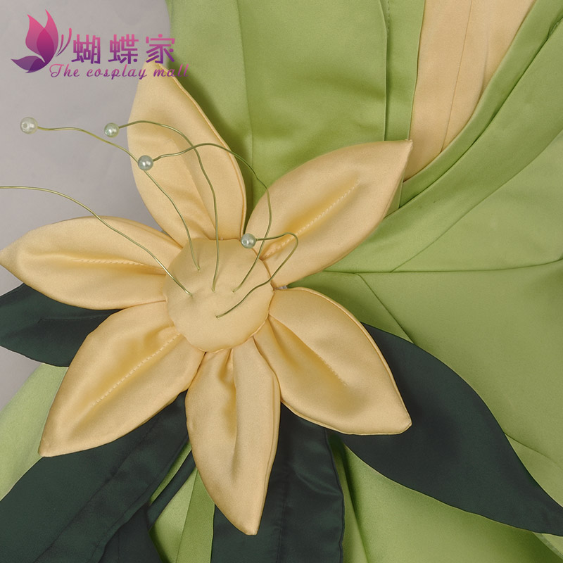 Princess Tiana Dress Cosplay C - огляд і ціна Women'S Accessories List